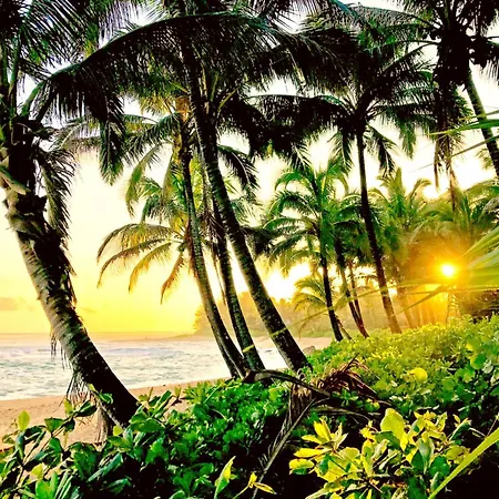 Kbm Resorts Free Car Islands At Mauna Lani Iml-E4 Large Lanai Golf Cart